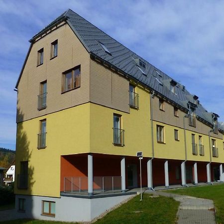 Apartman V Destnem Destne v Orlickych horach Exterior photo