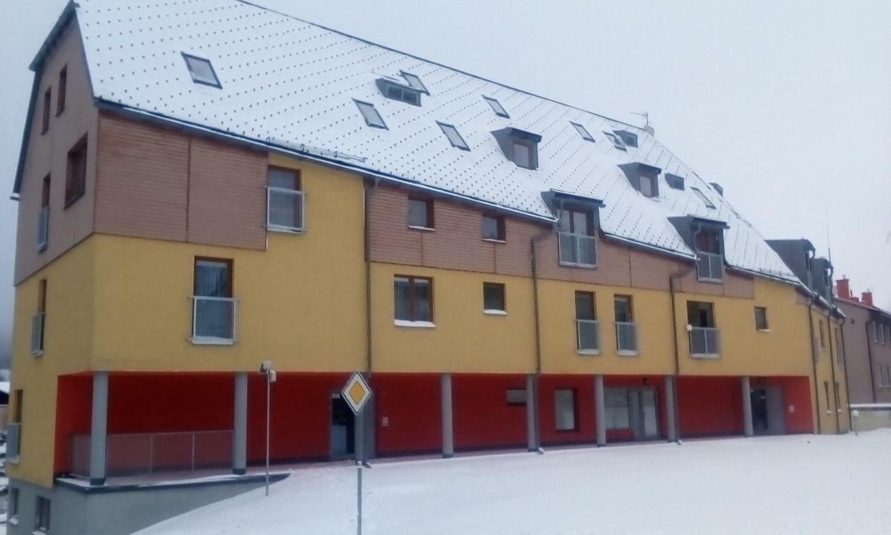 Apartman V Destnem Destne v Orlickych horach Exterior photo
