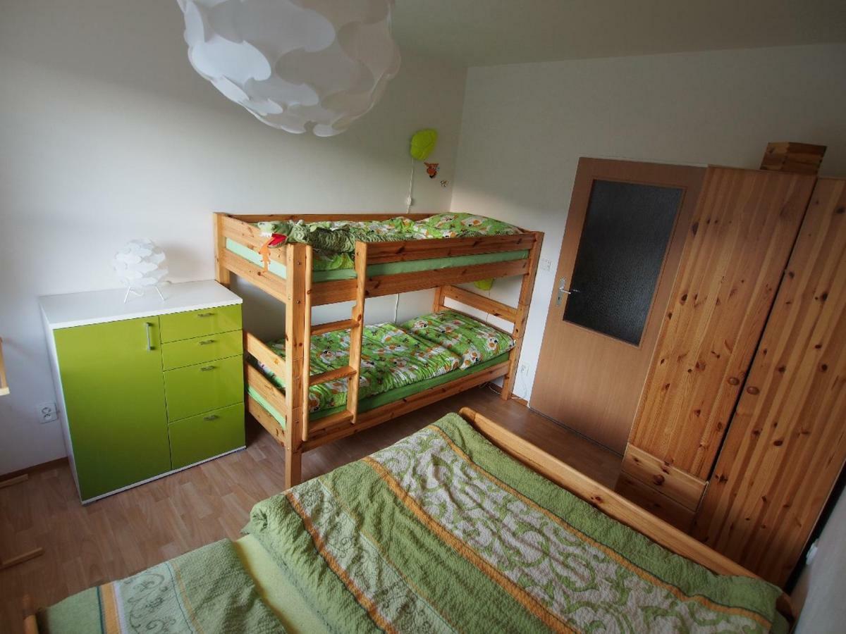 Apartman V Destnem Destne v Orlickych horach Exterior photo