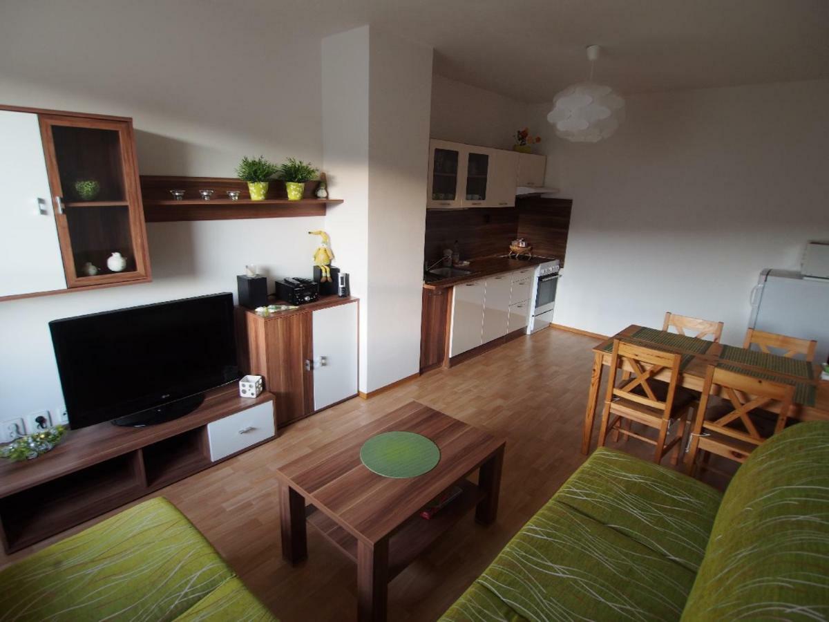 Apartman V Destnem Destne v Orlickych horach Exterior photo