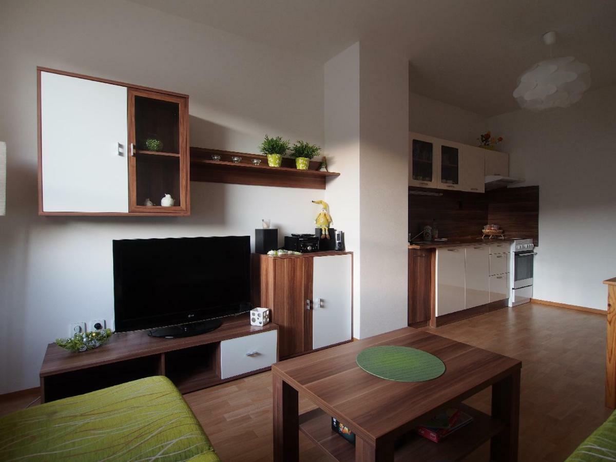 Apartman V Destnem Destne v Orlickych horach Exterior photo