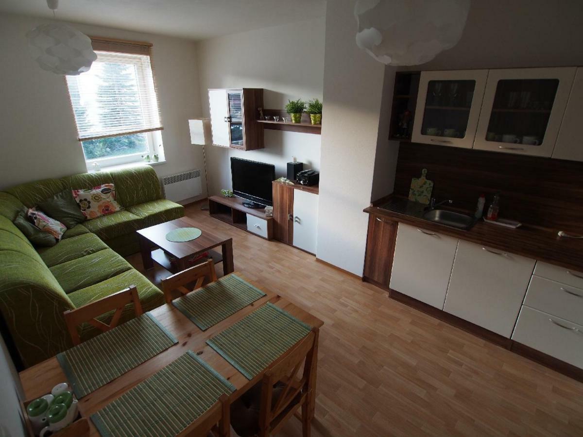 Apartman V Destnem Destne v Orlickych horach Exterior photo